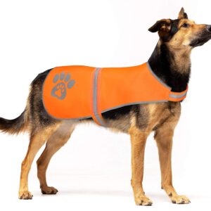 Gilet Visibility Orange T.L