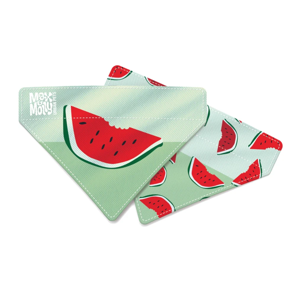 Bandana  Pasteque L