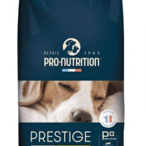 Prestige Chien Skin  12Kg