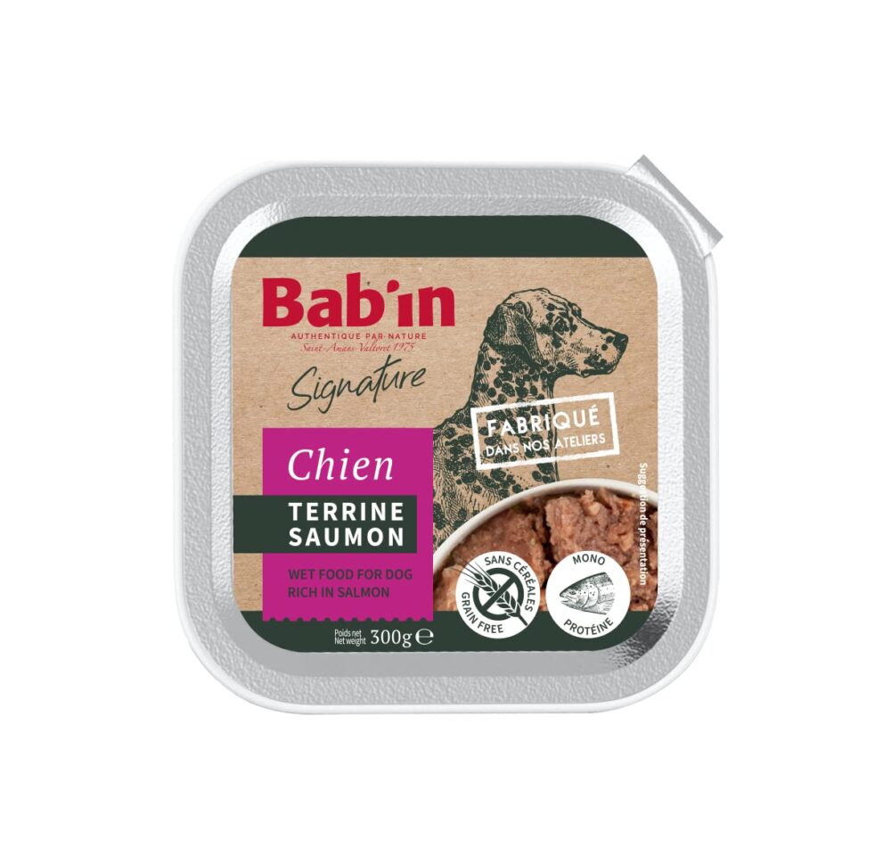 Bab'in Terrine Chien Adulte Saumon 1X300G