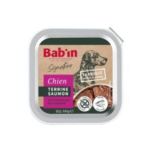 Bab'in Terrine Chien Adulte Saumon 1X300G