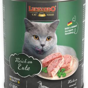 Leonardo Canard   0,8Kg