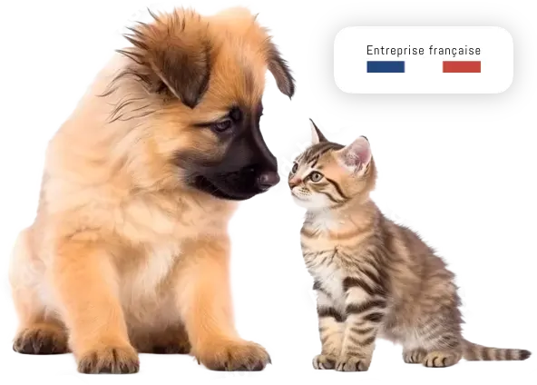 Nutri Chien et Chat : Aliments et accessoires Nutri Chien et Chat : Aliments et accessoires